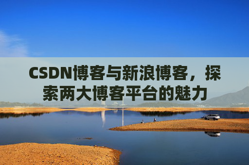 CSDN博客与新浪博客，探索两大博客平台的魅力
